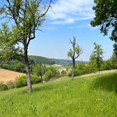 22-05-08 11-43-50 0771